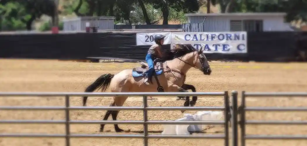 California Gymkhana Association